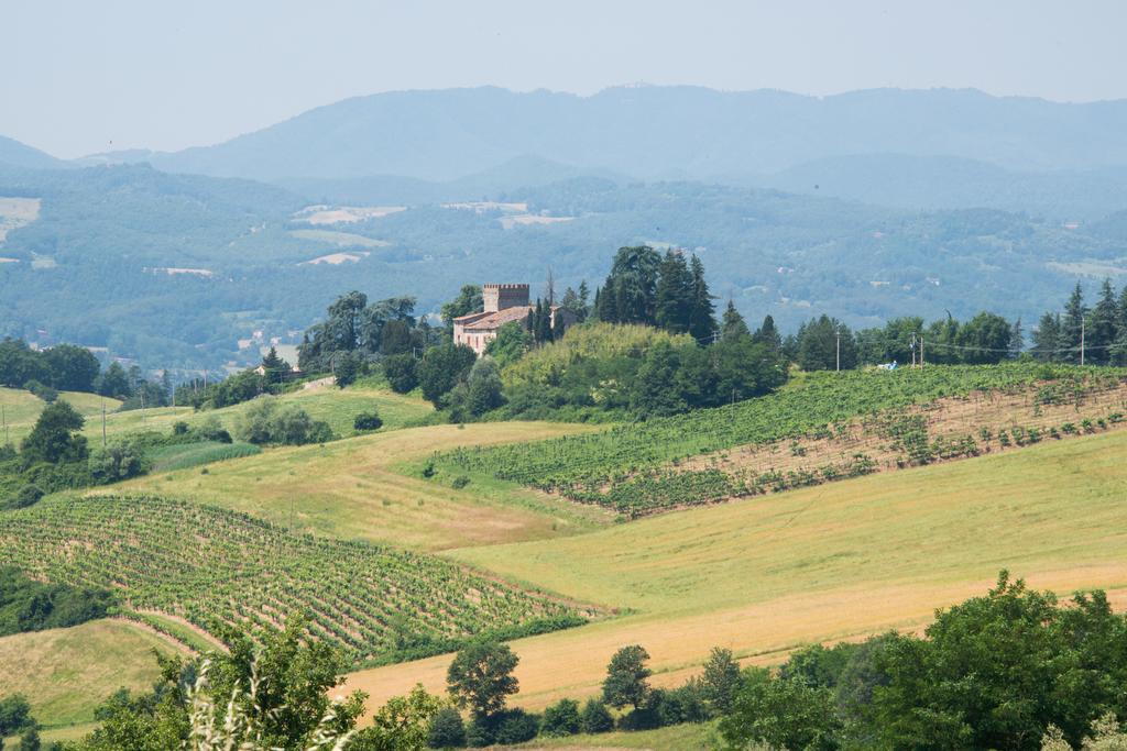 Agriresort & Spa Fattoria I Ricci Vicchio Bagian luar foto